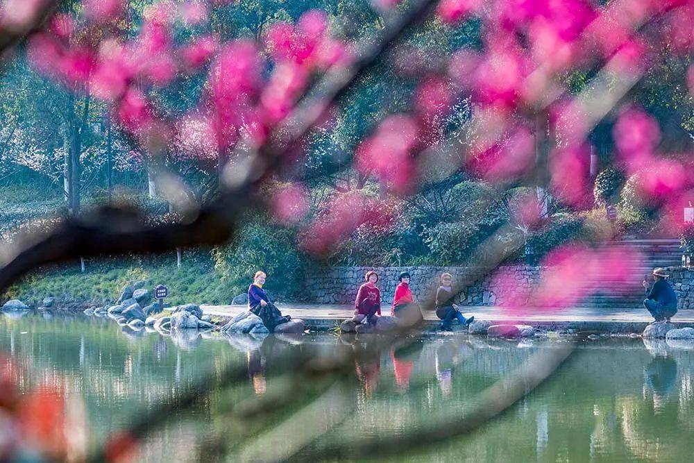 中国驻美大使谢锋：要求美方立即停止无理盘查滋扰遣返中国留学生